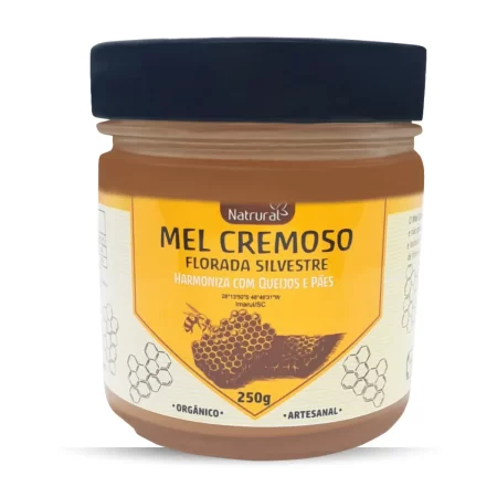Mel Cremoso 250G